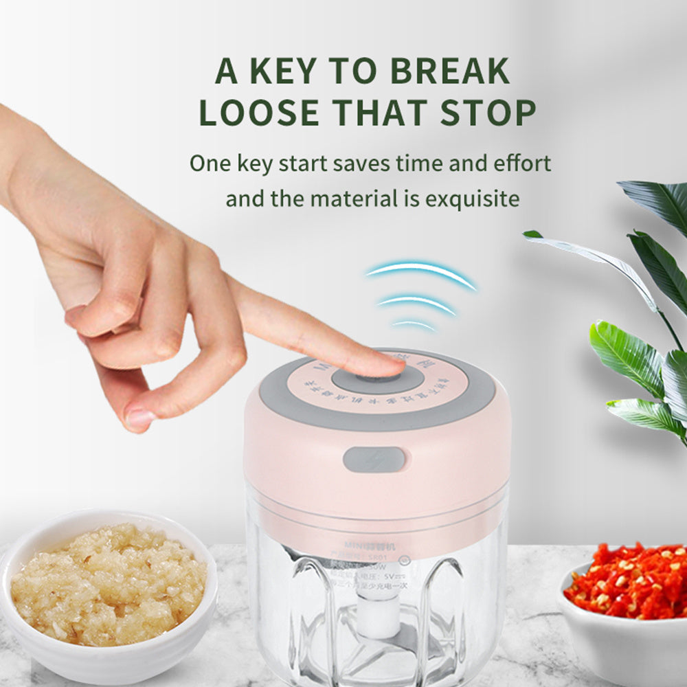 QuickChop Mini Electric Garlic Chopper