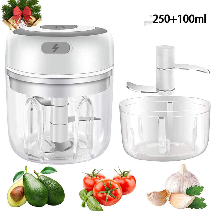 QuickChop Mini Electric Garlic Chopper